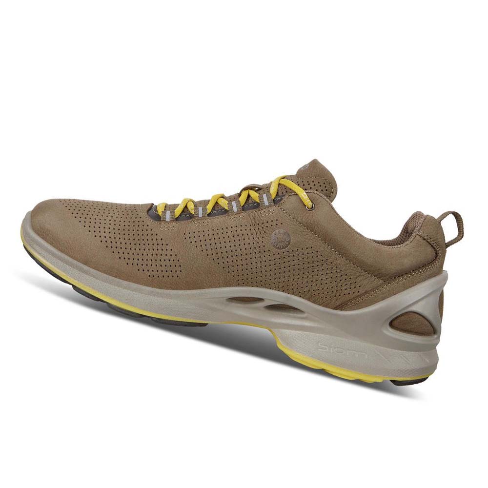 Men's Ecco Mens Biom Fjuel Perf Hiking & Trail Brown | Canada 568JPQ